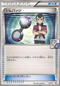 Gym Badge (XY-P)