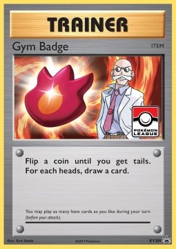 Gym Badge (XYPR 209)
