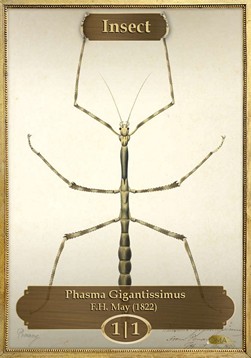 Insect Token (Green 1/1) (V.1)