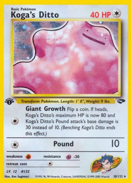 Koga's Ditto  (GC 10)