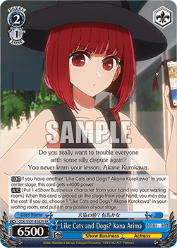 Like Cats and Dogs? Kana Arima (V.2 - Super Rare)