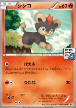 Litleo  (XY-P 081)