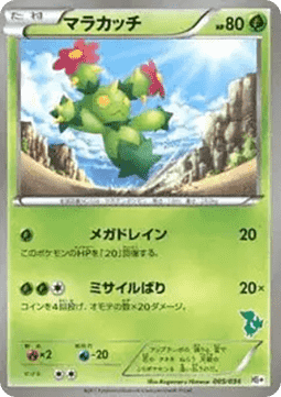 Maractus  (HSPL 005)