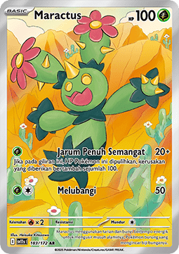 Maractus  (SV11s 183)