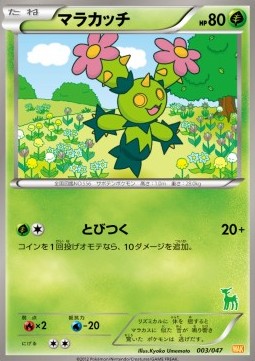 Maractus  (WAK 003)