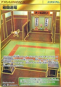 Martial Arts Dojo (sm11a 079)