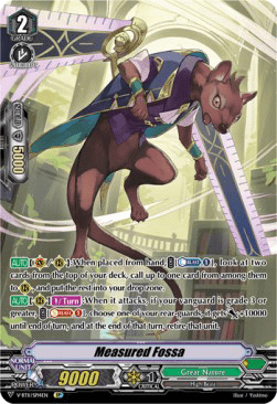 Measured Fossa [V Format] (V.2 - Special Parallel)