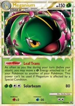 Meganium  (HGSS 08)