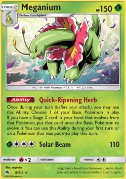 Meganium  (LOT 8)