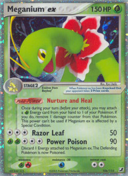 Meganium ex  (UF 106)