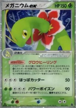 Meganium ex  (pcgH 003)