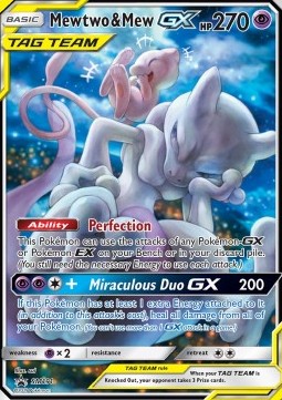 Mewtwo & Mew GX  (SM 191)