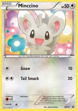 Minccino  (BW 13)