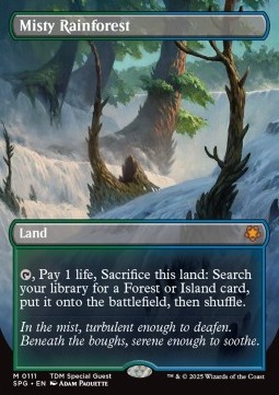 Misty Rainforest (V.1)