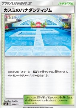 Misty's Cerulean City Gym (smK 029)