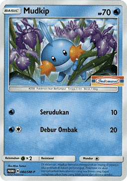 Mudkip  (SM-P/ID 084)