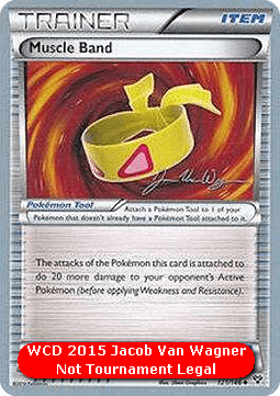 Muscle Band (WCD15 XY 121)