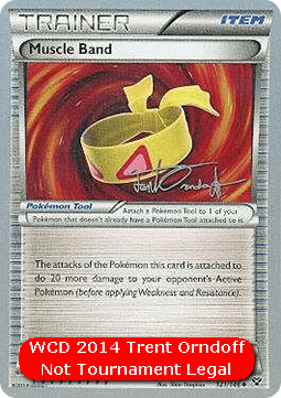 Muscle Band (WCD14 XY 121)