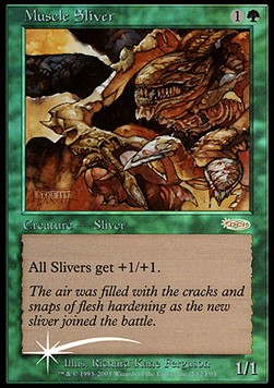 Muscle Sliver