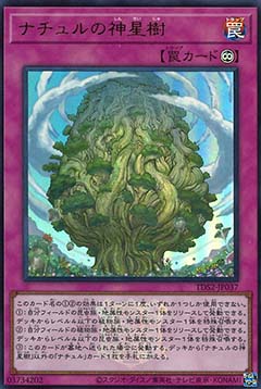 Naturia Sacred Tree