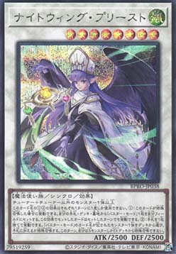 Nightwinged Cleric (V.2 - Secret Rare)