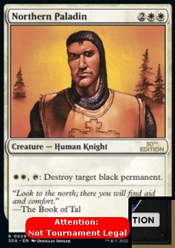 Northern Paladin (V.1)