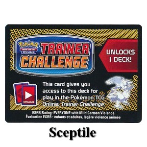 Online Code Card (Theme Deck) (CES)