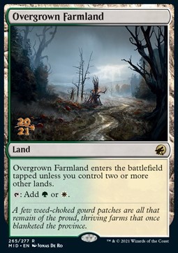 Overgrown Farmland (V.1)