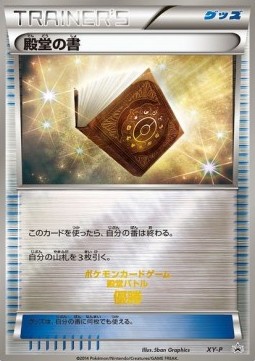 Palace Book (XY-P)