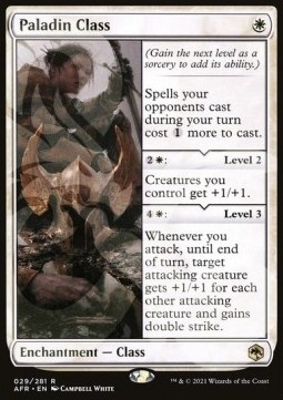 Paladin Class (V.3)