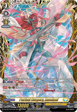 Perfect Surgery, Ascelael [D-Format] (V.2 - Double Frame Rare)