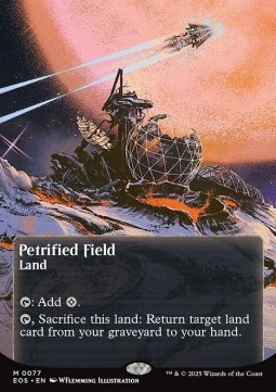 Petrified Field (V.2)