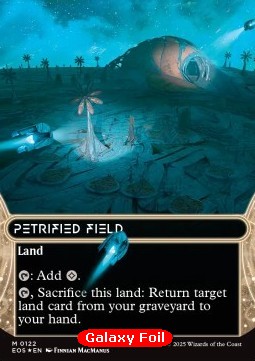 Petrified Field (V.3)