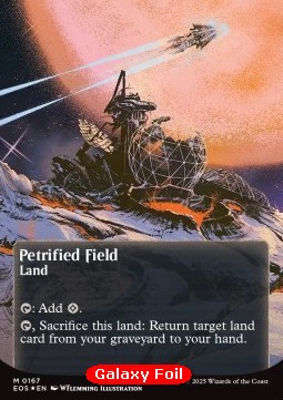 Petrified Field (V.4)