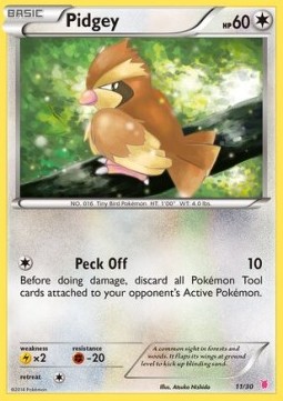 Pidgey  (TK7 11W)