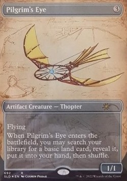 Pilgrim's Eye