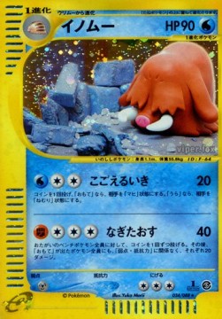 Piloswine  (EC5 034)