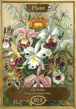 Plant Token (Green 0/1) (V.1)