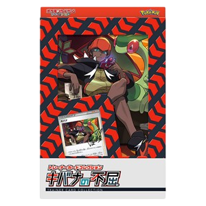 Raihan's Indomitability Trainer Card Collection