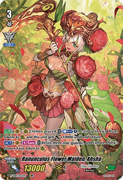 Ranunculus Flower Maiden, Ahsha [V Format]
