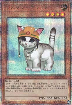 Rescue Cat (V.4 - Quarter Century Secret Rare)