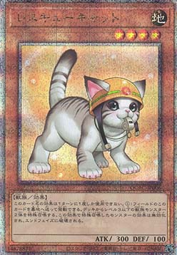 Rescue Cat (V.5 - Quarter Century Secret Rare)