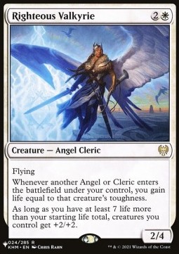 Righteous Valkyrie
