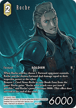 Roche (29-076) (V.2)