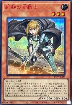 Rookie Warrior Lady (V.2 - Special)