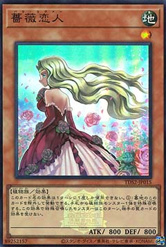 Rose Lover