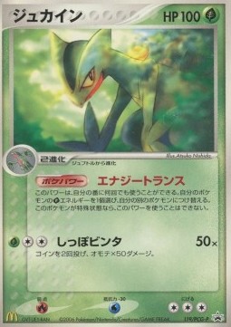 Sceptile  (PCG-P 119)