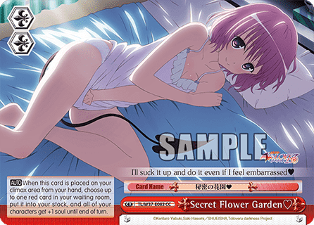Secret Flower Garden?