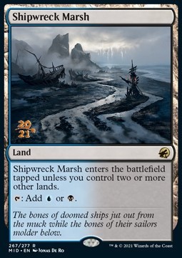 Shipwreck Marsh (V.1)
