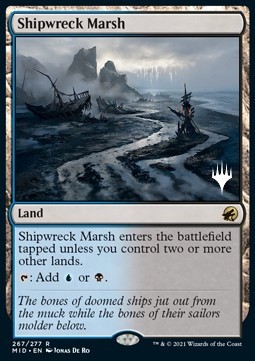 Shipwreck Marsh (V.2)